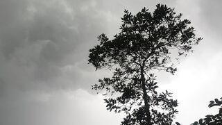 বৃষ্টি আসার আগের মুহূর্ত দেখতে অনেক সুন্দর লাগে  ????