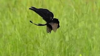 Compartilhando boas vibrações da natureza ❤️