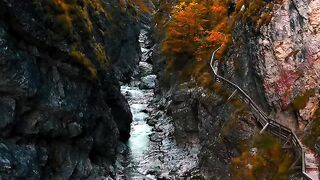 Um caminho escondido onde a natureza parece pura magia. ????