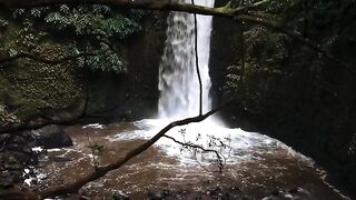 Um lugar escondido no meio da floresta ????