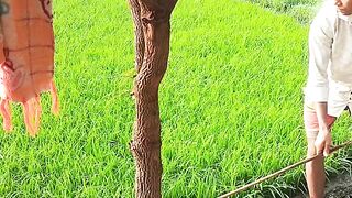 গ্রাম বাংলার কৃষি