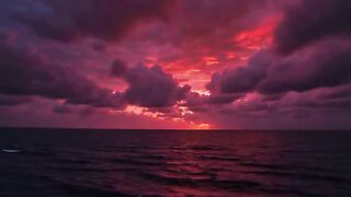 Love_nature