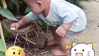“এমন দৃশ্য দেখলে মন ভালো হয়ে যাবে ????????”#shorts#viral#febspot