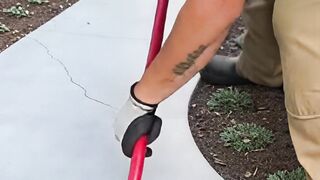 interestng video