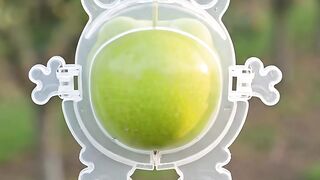 The apple tree turned into a frog! ???? How was this magic possible? ????