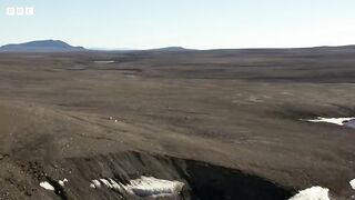 Wolf Pack Hunts a Hare (2).mp4.2026