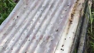 Used saw blade that is still usable