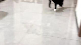 Amazing cats 42