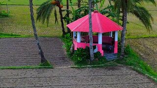Drone video 2