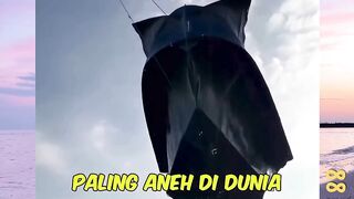 3 Bentuk layangan paling uaneh di dunia (Nomer 3 jangan pernah kamu buat) versi bola88