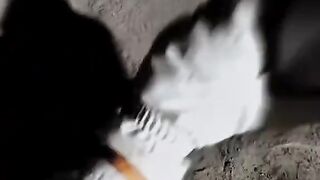 Quran 409