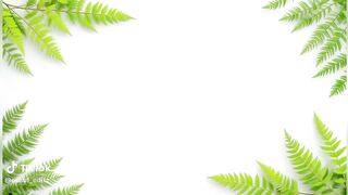 তুমি এতো কিউট কেনো গো?