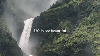 NATURAL VIEW