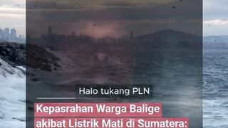 mesingg 2