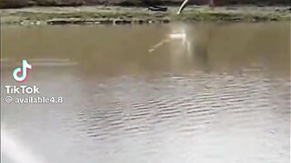 একি হলো