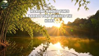 Relaxing Bamboo Tunes - Bamboo Tune Caresses the Heart 2