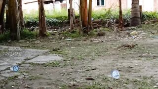 Suasana pedesaan 8