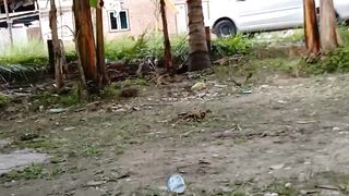 Minggu 2