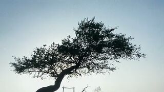 ইসলামের আলো ছড়িয়ে দেওয়াকে ইসলাম বলে