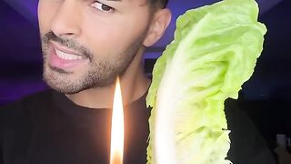 ???????????? 467