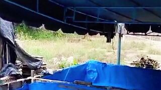 Padahal baru ganti air kolam sudah bau lagi Ini penyebabnya