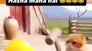 Funny video ???????????????????? 10