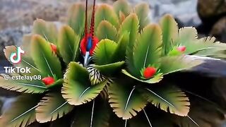 Beautiful Birds 9