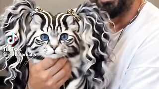 So Cute Cat 9