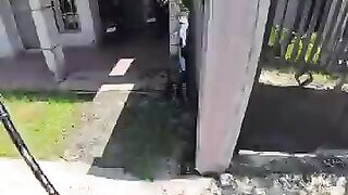 Fishing in a Tiny Ditch… Then THIS Huge Fish Appeared!