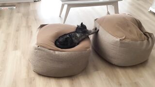 I'm relaxing today too.