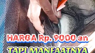 Harga hanya 9000an saja tapi manfaatnya sangat banyak