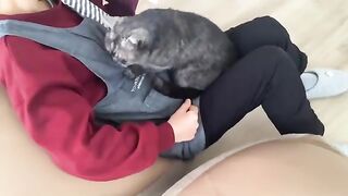 It's a big kitten