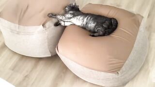 Melting