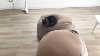Happy times spent relaxing