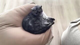 The bliss that is only available during deep sleep