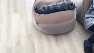 Beanbag cushions are a swamp