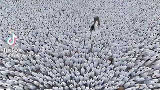 Haj Session 2026 Today View