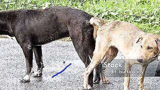 Berikut tata cara menutup & menonaktifkan kartu kredit BNI, ini cara tutup kartu kredit bank bni.