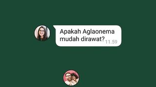 Cara buka blokir balé BTN