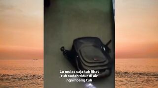 Tetap santay