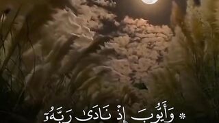 Tilawat e Quran Majeed 78