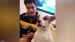 This Is Why We Love Pets