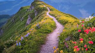 Nature’s Beautiful Escape ???? 2
