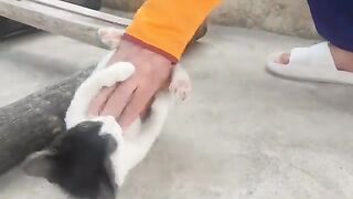 I spent time with the pirate cat.