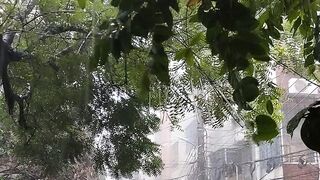 মাশাল্লাহ খুব সুন্দর একটা বৃষ্টি
