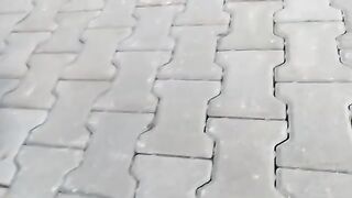 I am very happy when a stray cat has had enough to eat.