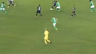 Ben Arfa