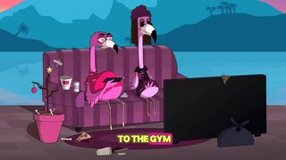 i dont go to the gym anymore