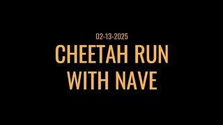 Cheetah Run with Nave.mp4.2026