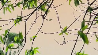 প্রকিতি অনেক সুন্দর